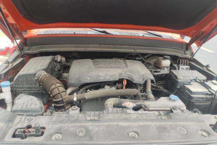 Used Tank 300 2021 City Edition 2.0T—Truly Stylish Engine Bay