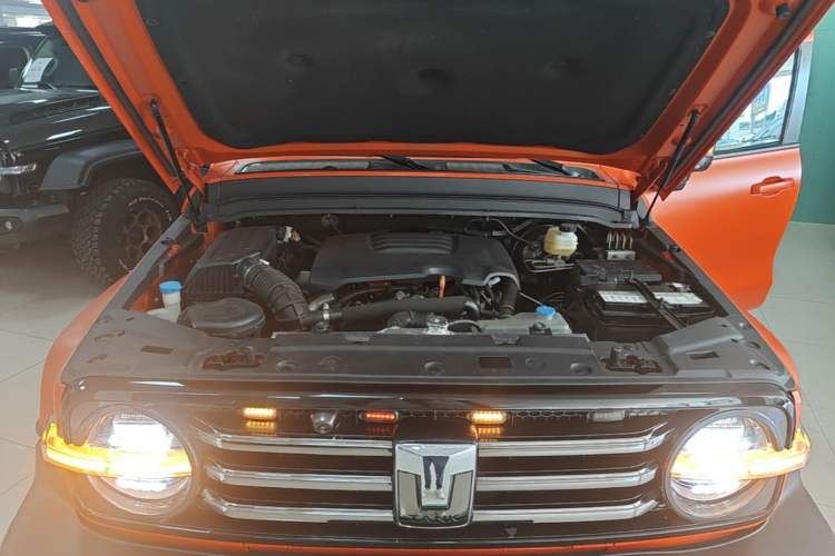 Used Tank 300 2021 City Edition 2.0T Essential Model Engine Bay