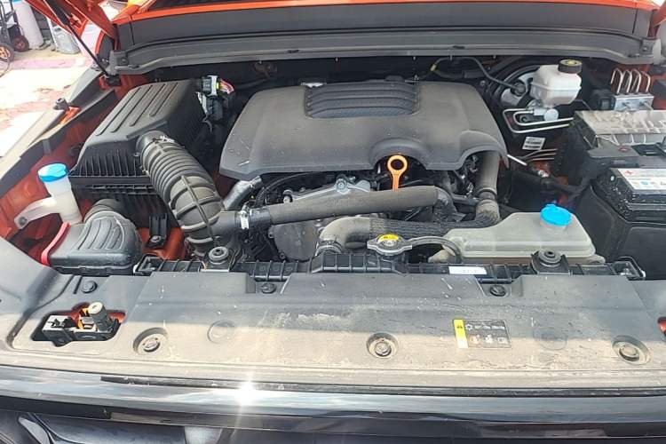 Used Tank 300 2021 Off-Road Edition 2.0T Conqueror Engine Bay