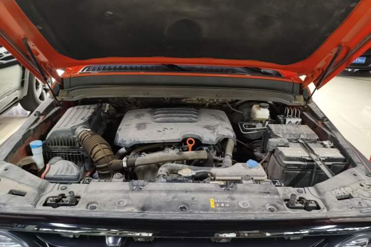 Used Tank 300 2021 Off-Road Edition 2.0T Conqueror Engine Bay