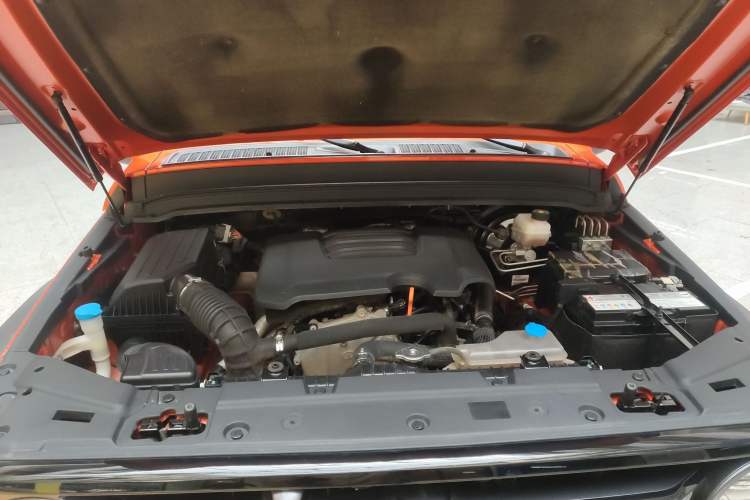 Used Tank 300 2021 Off-Road Edition 2.0T Conqueror Engine Bay