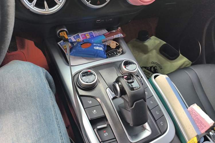 Used Tank 300 2021 City Edition 2.0T—Truly Stylish Gear Lever