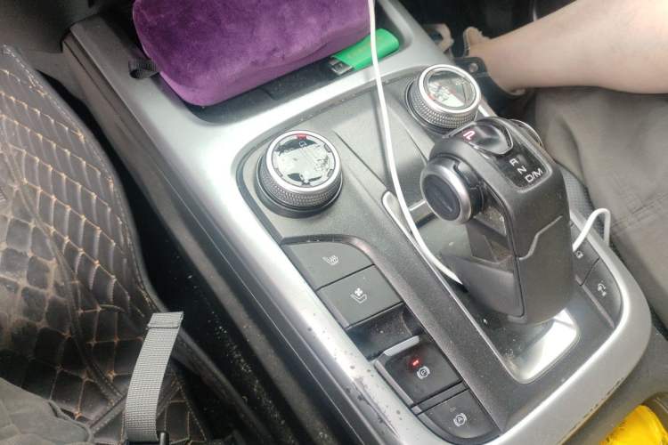Used Tank 300 2021 City Edition 2.0T—Truly Stylish Gear Lever