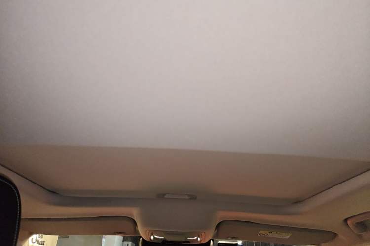 Used Tank 300 2021 Off-Road Edition 2.0T Challenger Headliner