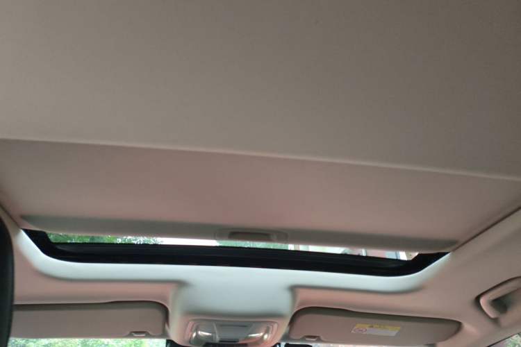 Used Tank 300 2021 Off-Road Edition 2.0T Conqueror Headliner