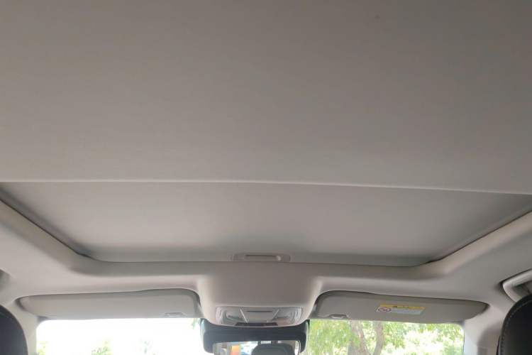 Used Tank 300 2021 Off-Road Edition 2.0T Conqueror Headliner