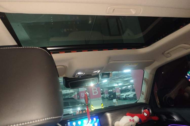 Used Tank 300 2021 City Edition 2.0T My Vision Model Headliner