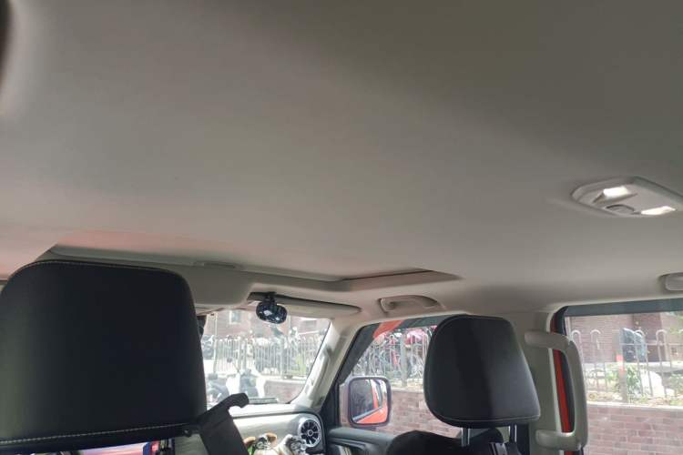Used Tank 300 2021 2.0T Monet Tribute Limited Edition Headliner