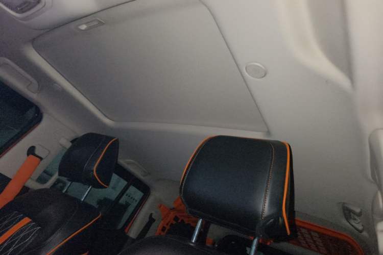 Used Tank 300 2021 City Edition 2.0T—Truly Stylish Headliner