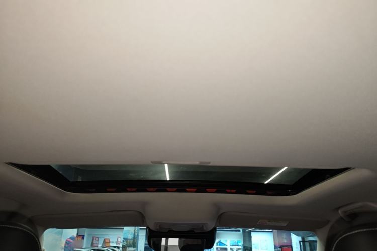Used Tank 300 2021 Off-Road Edition 2.0T Conqueror Headliner