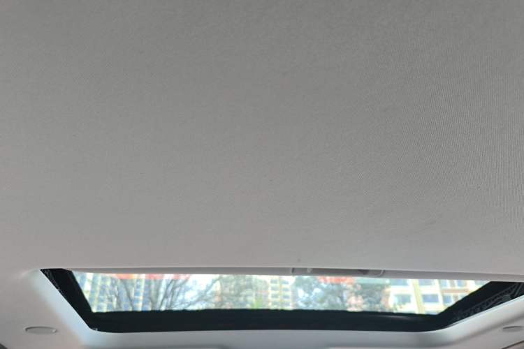 Used Tank 300 2021 City Edition 2.0T—Truly Stylish Headliner