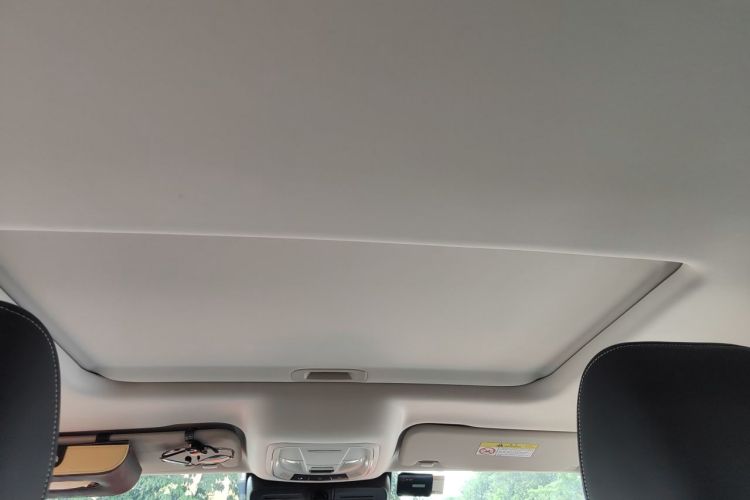 Used Tank 300 2021 Off-Road Edition 2.0T Conqueror Headliner