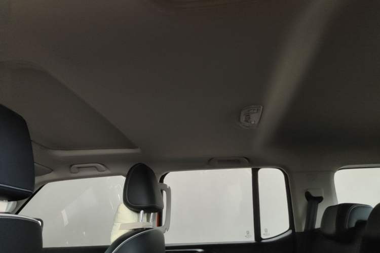 Used Tank 300 2021 Off-Road Edition 2.0T Conqueror Headliner