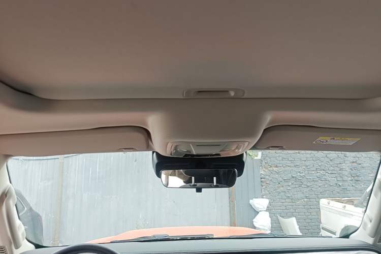 Used Tank 300  Headliner