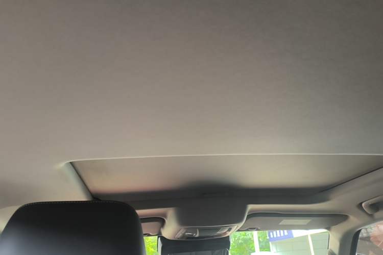 Used Tank 300 2021 Off-Road Edition 2.0T Conqueror Headliner