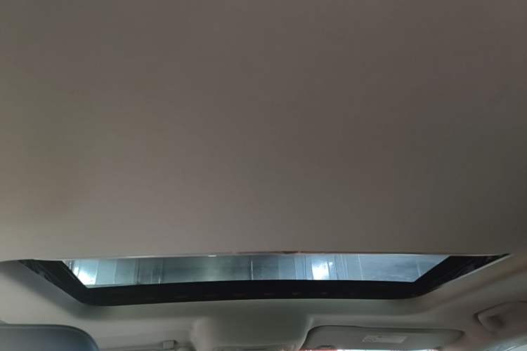 Used Tank 300 2021 Off-Road Edition 2.0T Conqueror Headliner