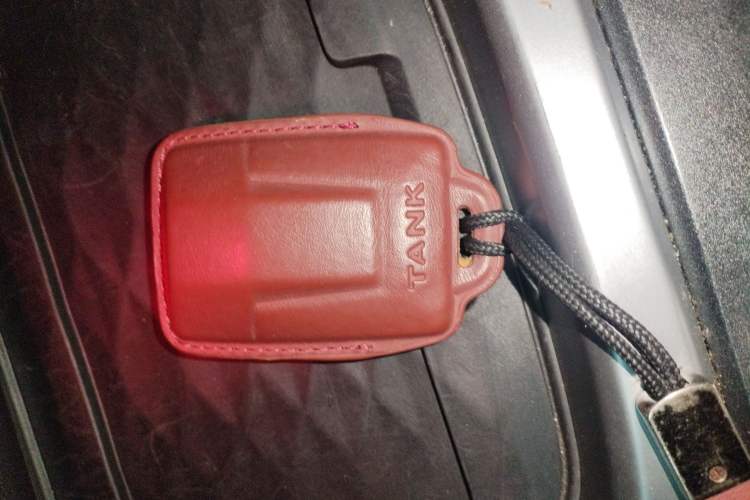 Used Tank 300 2021 Off-Road Edition 2.0T Conqueror Interior 1