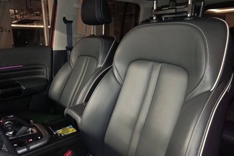 Used Tank 300 2021 Off-Road Edition 2.0T Conqueror Left Front Seat