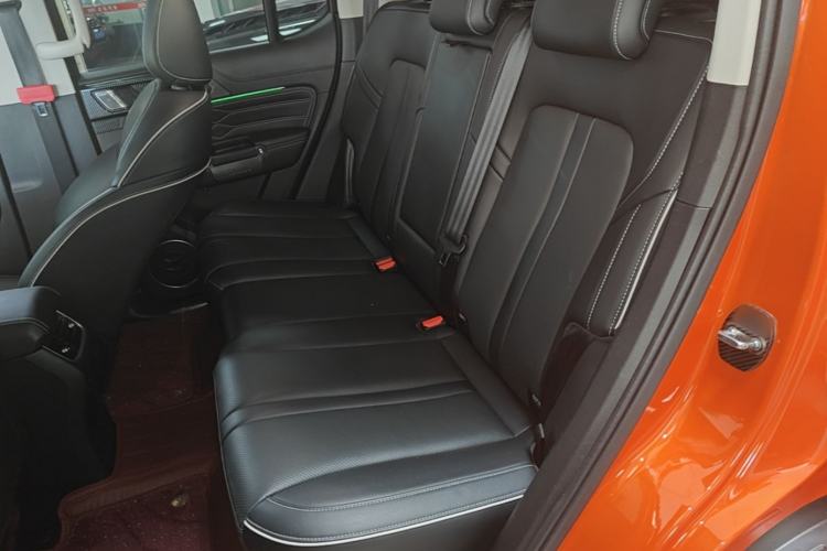 Used Tank 300 2021 City Edition 2.0T Essential Model Left Rear Seat