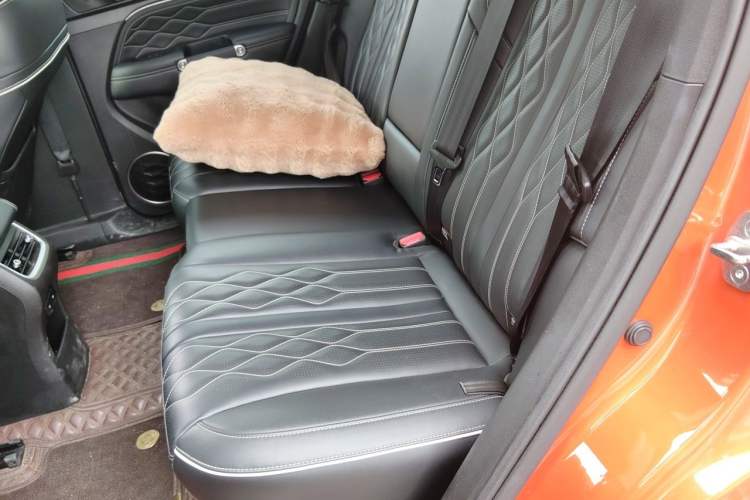 Used Tank 300 2021 Off-Road Edition 2.0T Challenger Left Rear Seat
