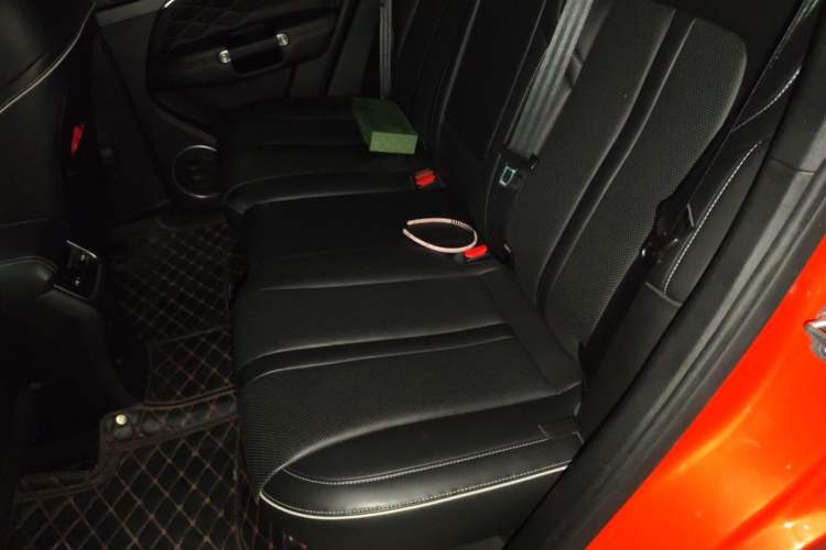 Used Tank 300 2021 Off-Road Edition 2.0T Conqueror Left Rear Seat