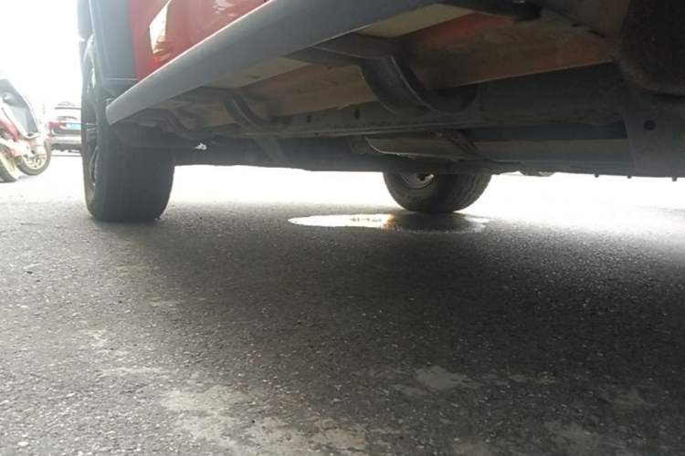 Used Tank 300 2021 Off-Road Edition 2.0T Challenger Left Side Sill