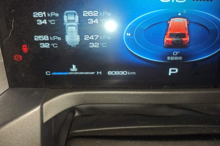 Used Tank 300 2021 City Edition 2.0T My Vision Model Odometer Close Up