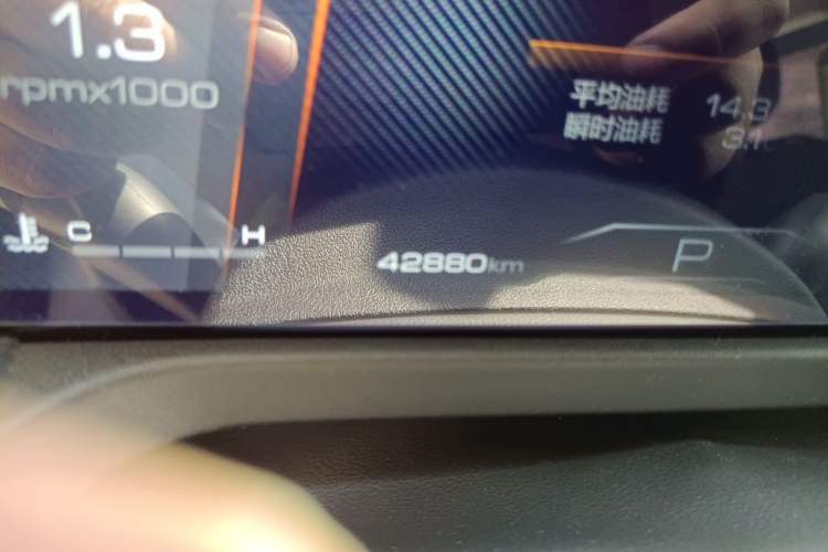 Used Tank 300 2021 2.0T Monet Tribute Limited Edition Odometer Close Up