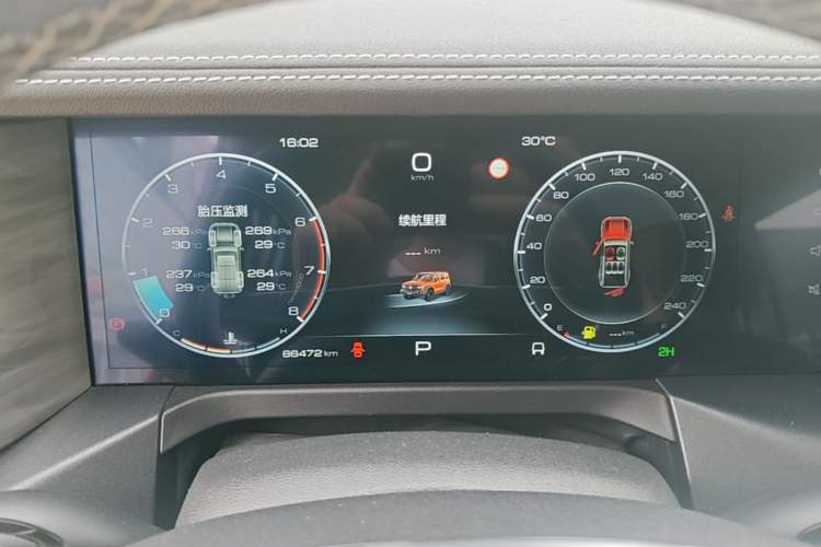 Used Tank 300  Odometer Close Up