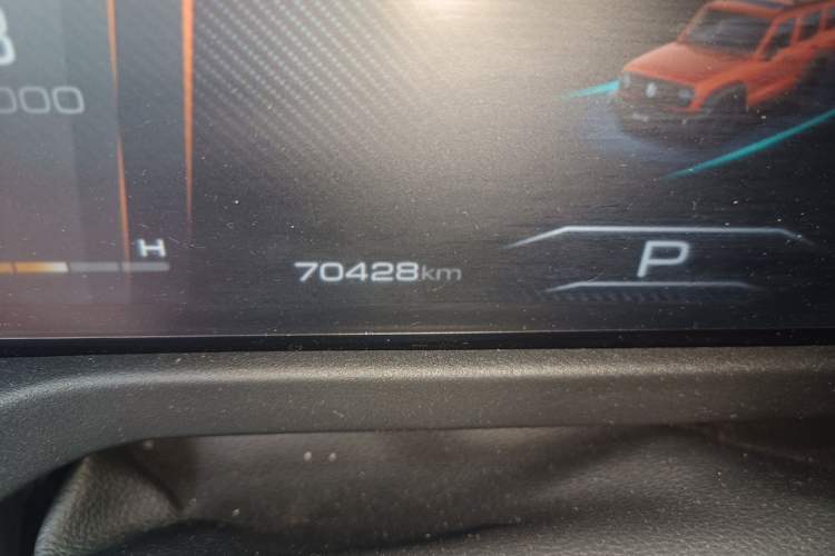 Used Tank 300 2021 Off-Road Edition 2.0T Conqueror Odometer Close Up