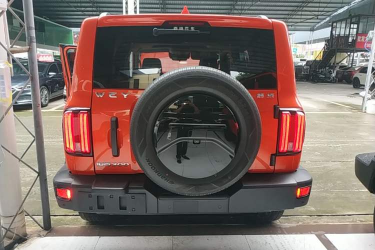 Used Tank 300 2021 Off-Road Edition 2.0T Conqueror Rear