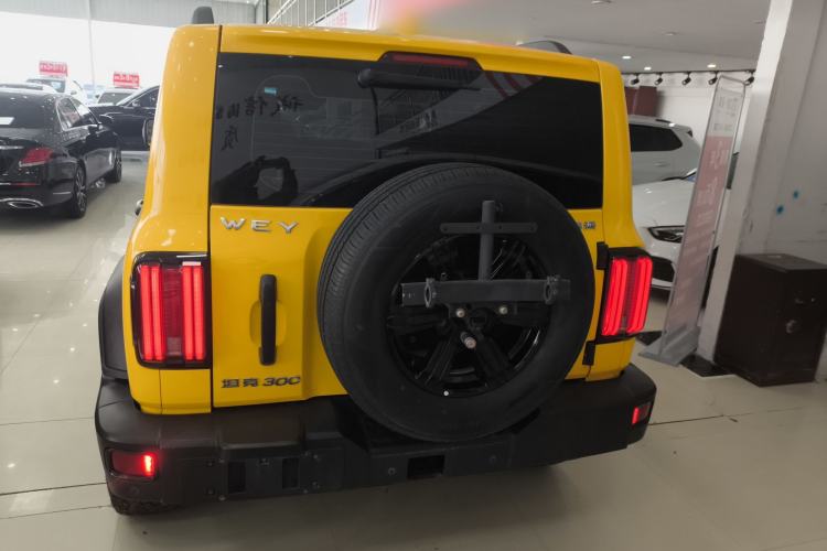 Used Tank 300 2021 Off-Road Edition 2.0T Challenger Rear