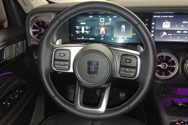 Used Tank 300 2021 Off-Road Edition 2.0T Conqueror Steering Wheel