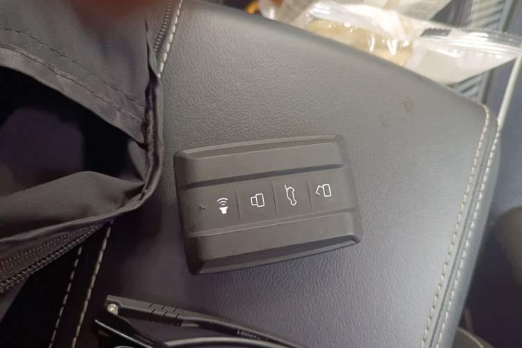 Used Tank 300 2021 2.0T Monet Tribute Limited Edition Vehicle Key