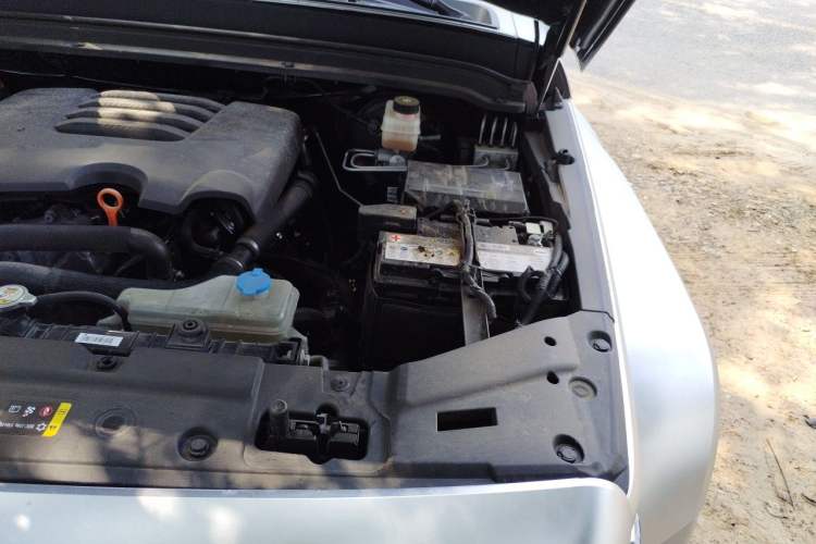 Used Tank 300  Engine Bay Left