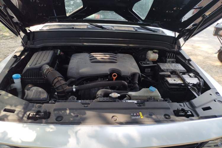 Used Tank 300  Engine Bay