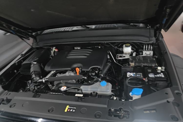 Used Tank 300 2022 2.0T Tank Ranger Engine Bay