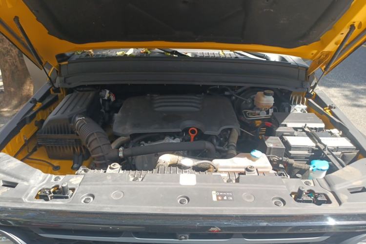 Used Tank 300 2022 2.0T Border Limited Edition Engine Bay