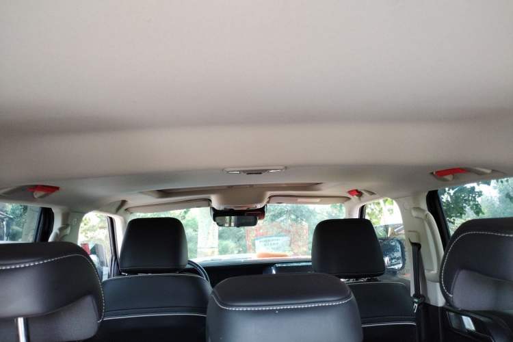 Used Tank 300  Headliner