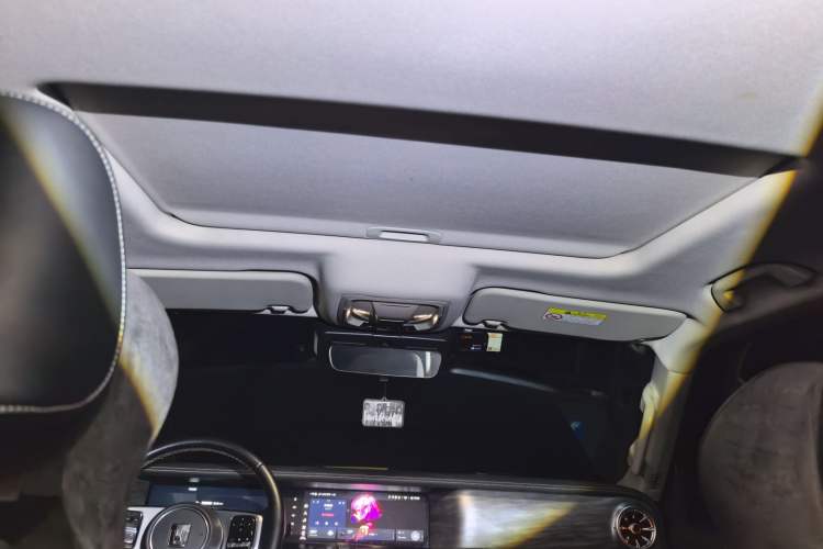Used Tank 300 2022 2.0T Border Limited Edition Headliner