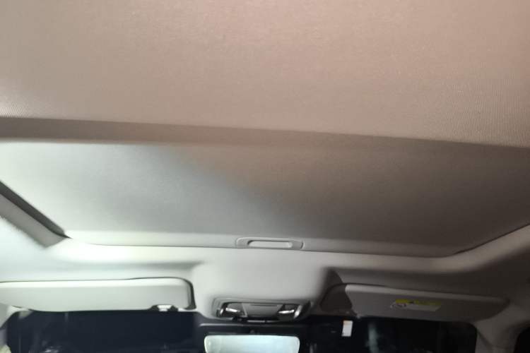 Used Tank 300 2022 2.0T Tank Ranger Headliner