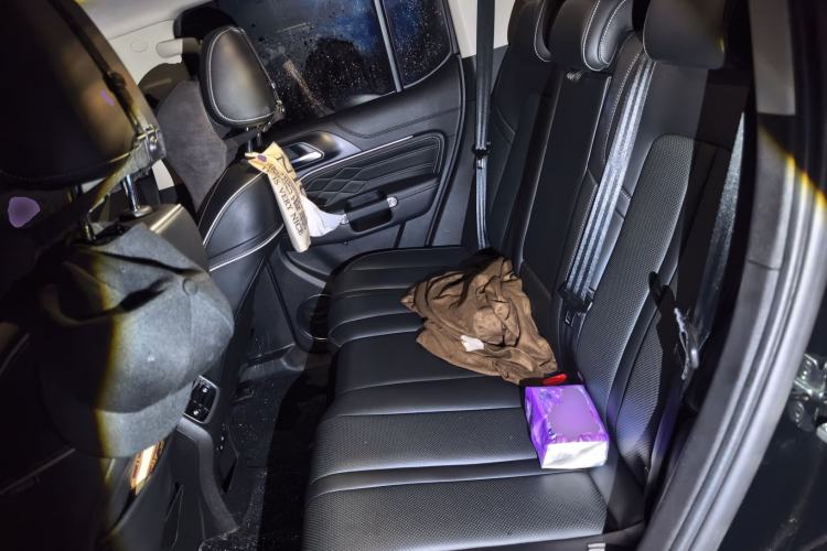 Used Tank 300 2022 2.0T Border Limited Edition Left Rear Seat