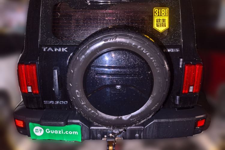 Used Tank 300 2022 2.0T Border Limited Edition Rear