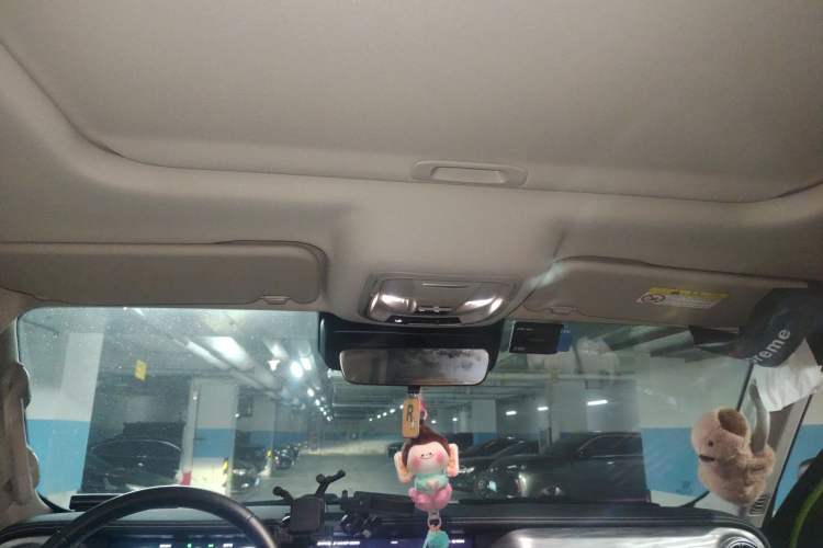 Used Tank 300 2022 2.0T Tank Ranger Headliner