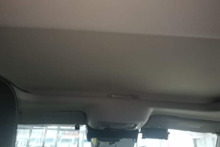 Used Tank 300 2022 2.0T Tank Ranger Headliner