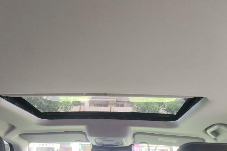 Used Tank 300 2022 2.0T Tank Ranger Headliner