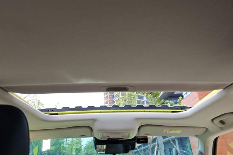Used Tank 300 2022 2.0T Tank Ranger Headliner