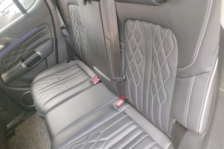 Used Tank 300 2022 2.0T Tank Ranger Left Rear Seat