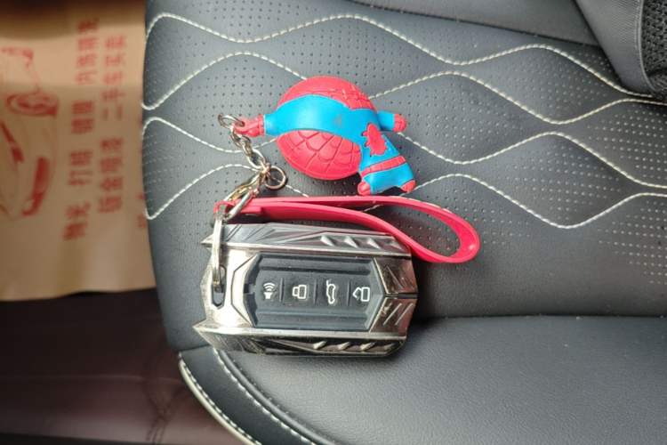 Used Tank 300 2022 2.0T Tank Ranger Vehicle Key