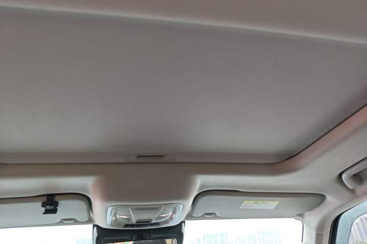 Used Tank 300 2022 2.0T Tank Ranger Headliner